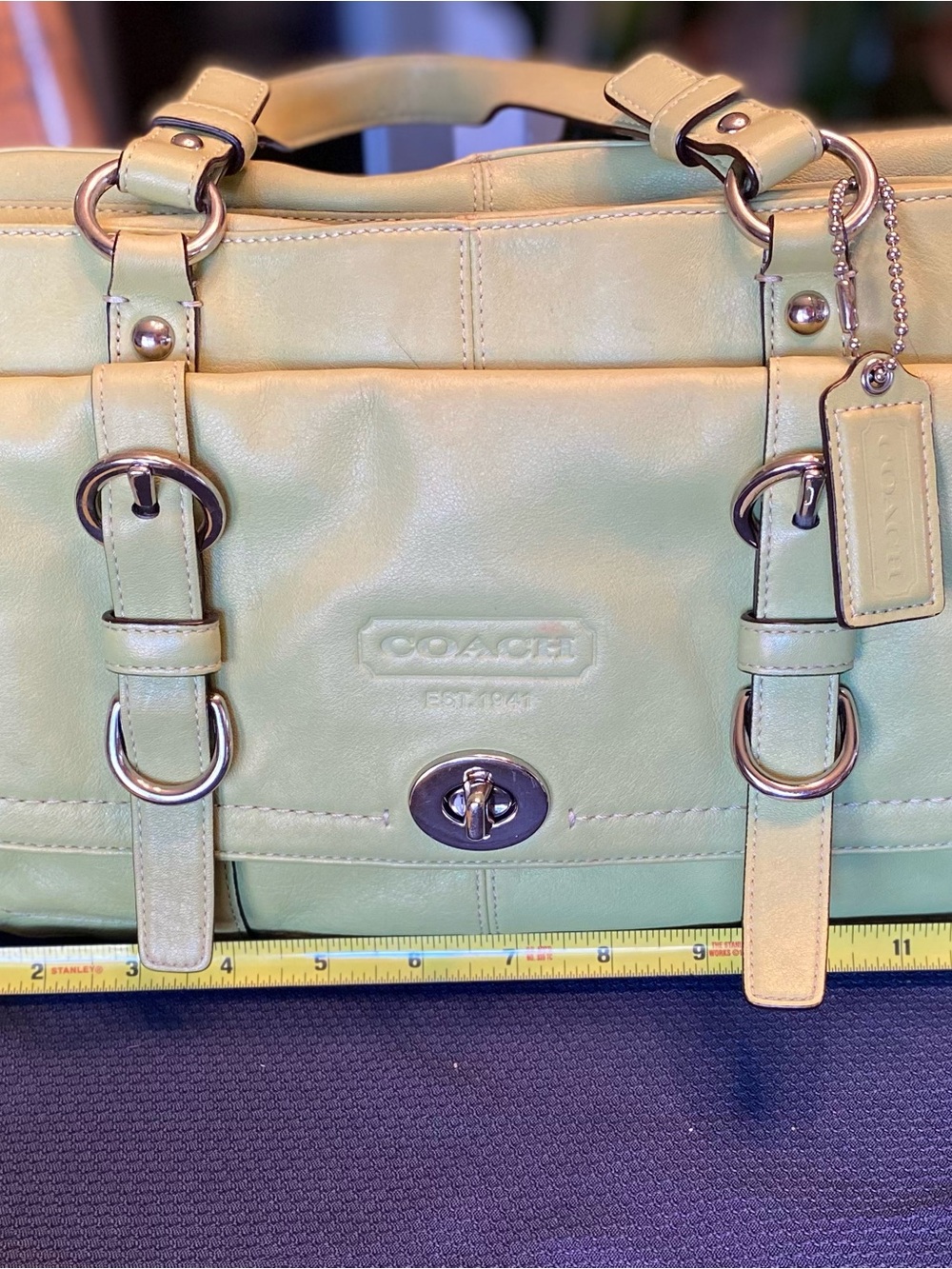 COACH Light Sage Green Leather Satchel with Silver Hardware